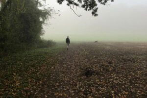 Person and dog walking in a field on a foggy day