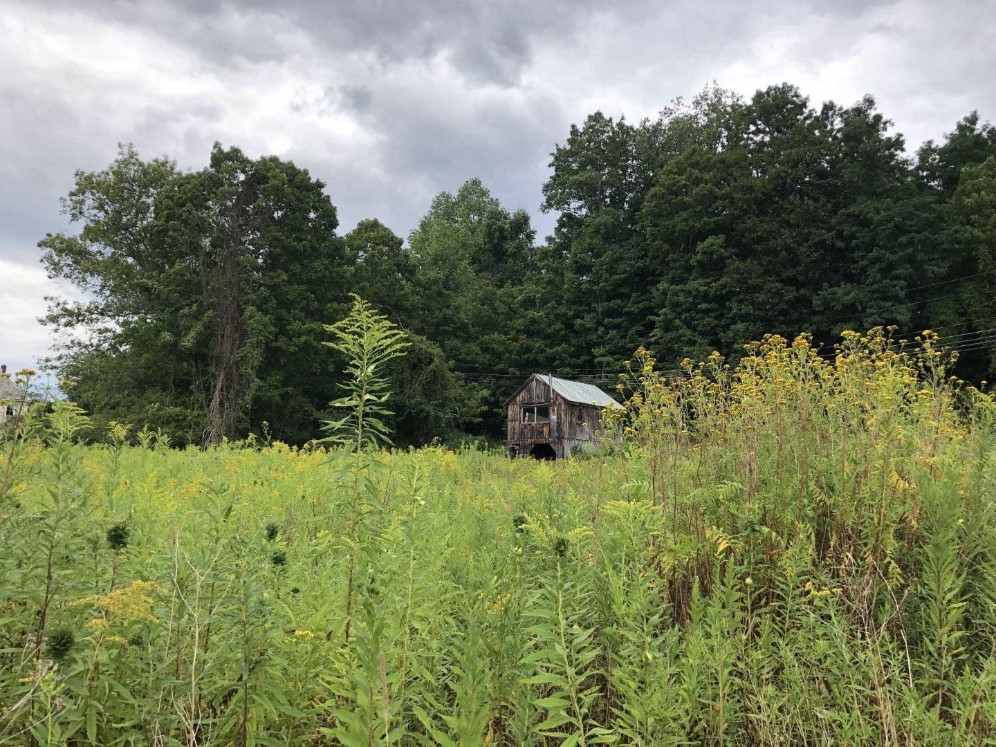 A shed in the South River Meadow - Conway, Massachusetts