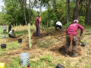 Six volunteers planting trees at the edge of a woods