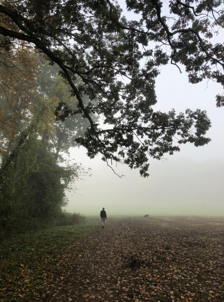 Person and dog walking on a trail by a field and woods on a foggy day