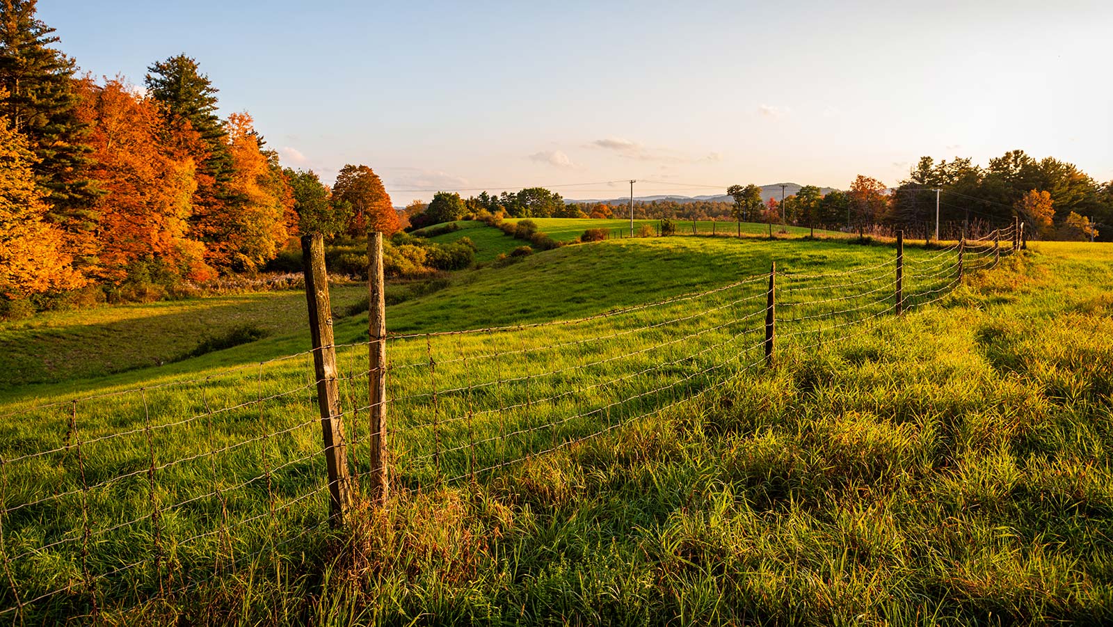 View of South Shelburne Road and a field in Shelburne, Massachusetts