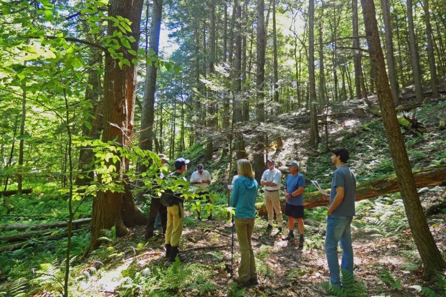 Group of about eight people standing in a circle in the woods, listening to a speaker