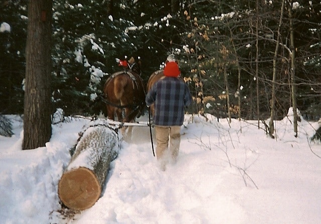 man driving a horse team hauling a log in the snowy woods