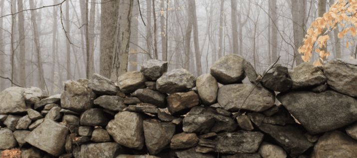 section of stone wall in the woods