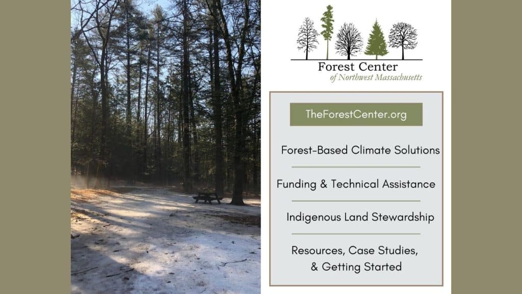 Postcard advertising the Forest Center