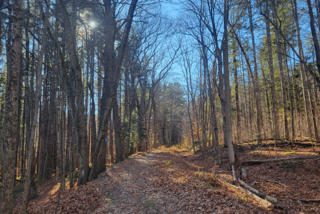 Bellows Pipe Trail